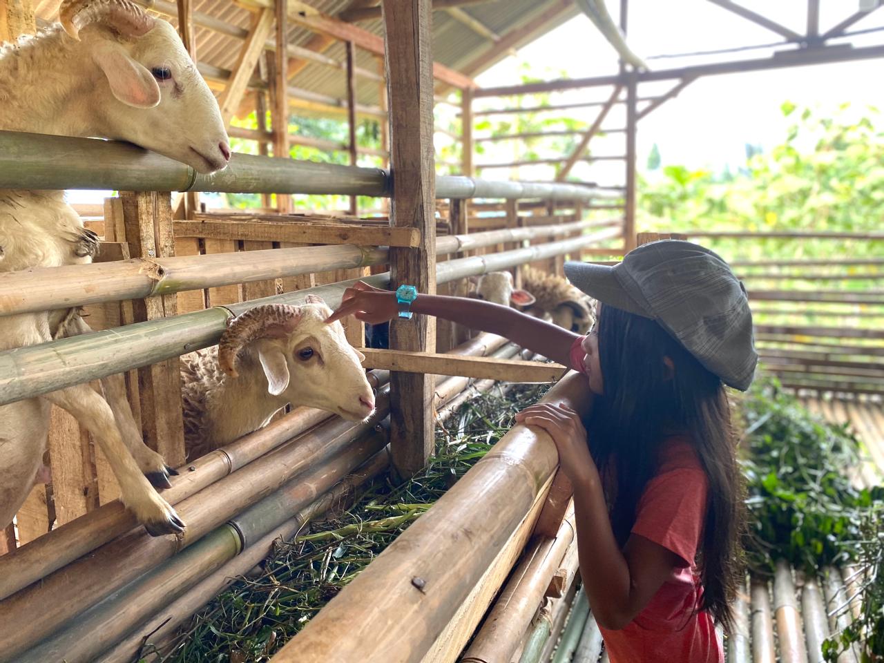 desaKecilRa_activity1